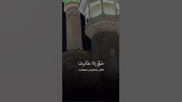 الآية 73 إلى الآية 74 من سورة الزمر #القرآن_الكريم #قران_كريم #قران #قرآن #اكسبلور #المغرب #لايك