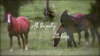 All The Pretty Little Horses - Lyric Video chords