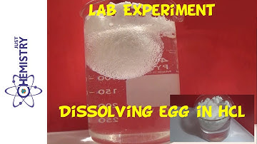 Dissolving EGG in HCl - Just Chemistry