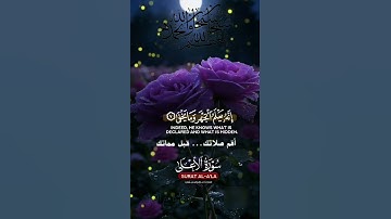 تلاوة خاشعة عطرة مباركة جميلة عذبة للشيخ ماهر المعيقلي ماتيسر من سورة الأعلى