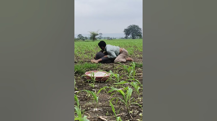 😂😂😂40 मिलियन व्यू टारगेट ज्यादा से ज्यादा शेयरकरो