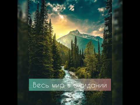 Весь мир в ожидании Сестры Варкентин Гитара