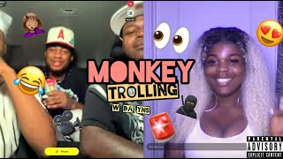 MONKEY TROLLING w da YNs!!!!!