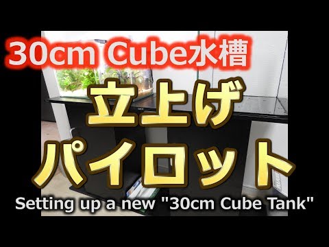 [アクアリウム] 30cmキューブ水槽立上げと、パイロット的な...何か