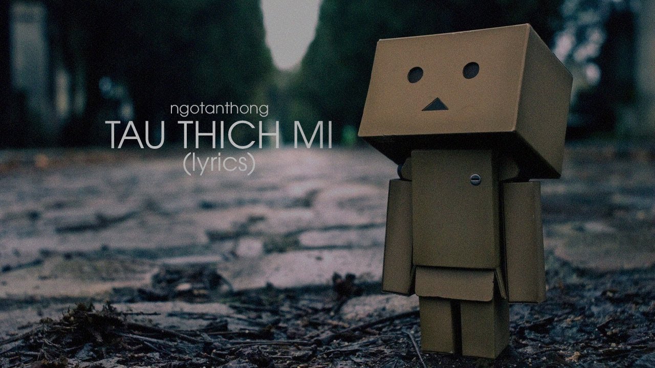 Tau Thích Mi Lyric - Lil_Pig