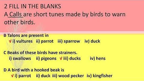 Class 3, Science, Chapter 3, Revision by Renu Yadav