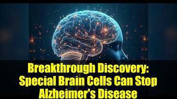 Breakthrough Discovery: Special Brain Cells Can Stop Alzheimer