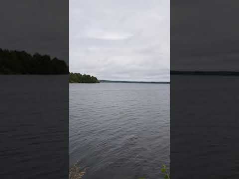 Мичуринское озеро