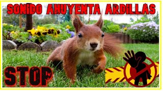 Sonido ahuyenta ardillas ULTRASONIDO EFECTIVO FUNCIONA 100%