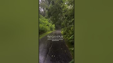 #quran #تلاوة_قرآن #القرآن_الكريم #qurankareem #quranforthesoul #خشوع #تلاوة_مؤثرة #تلاوة_خاشعة #