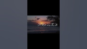 من الآية ٢٣ إلى الآية ٢٩ من سورة الشعراء بصوت القارئ إسلام صبحي