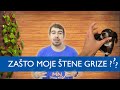 Мoje štene grize | Zašto štene grize | MN obuka pasa i edukacija vlasnika