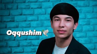 Nurshodbek Xudoyberdiyev - Oqqushim (audio2022)