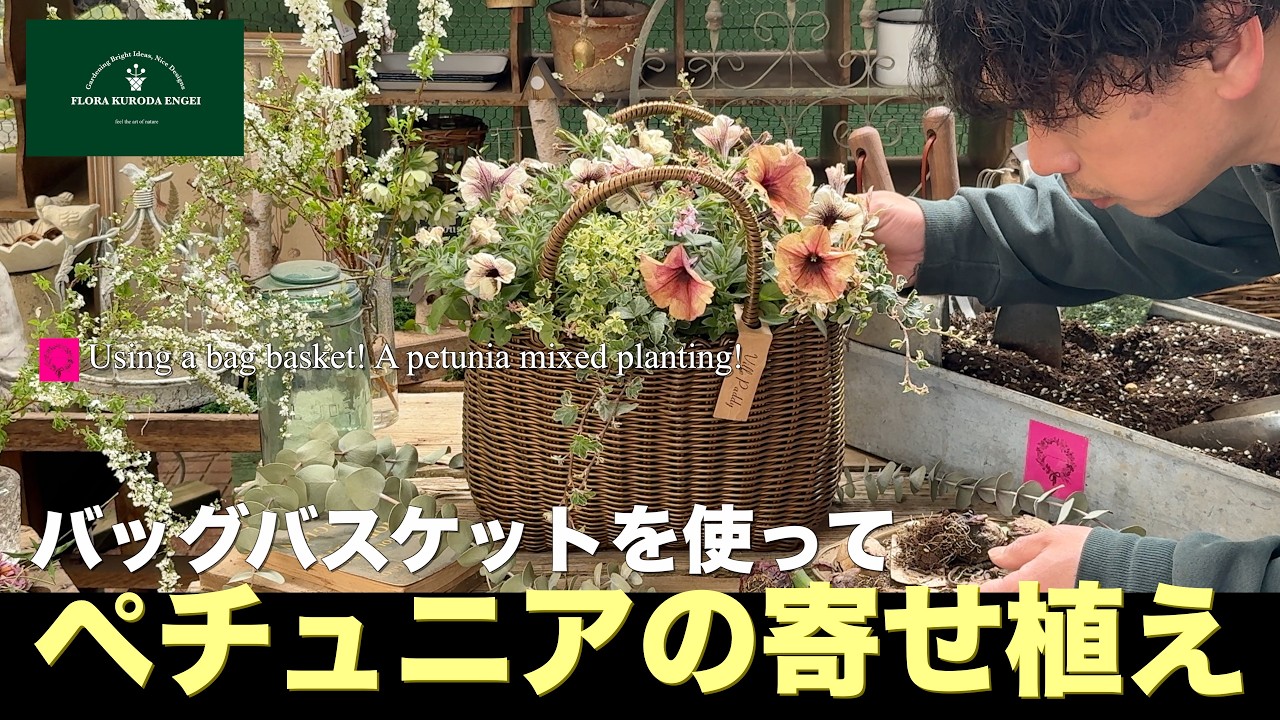 Petunia Container Gardening] Using a gold bag basket! 