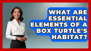What Are Essential Elements Of A Box Turtle