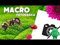 Como hacer 𝐟𝐨𝐭𝐨𝐠𝐫𝐚𝐟𝐢́𝐚𝐬 𝐦𝐚𝐜𝐫𝐨 𝐞𝐧 𝐜𝐞𝐥𝐮𝐥𝐚𝐫 🐜 #android ENFOCAR DE CERCA con nuestro celular #macro