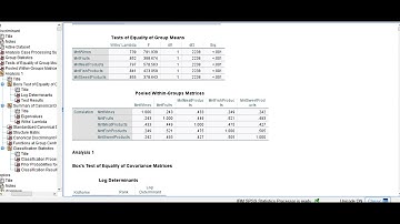 How to Interpret Discriminant Analysis SPSS Output