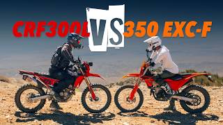 Did We Build a KTM Killer? Our CRF300L vs Stock KTM 350 EXC-F