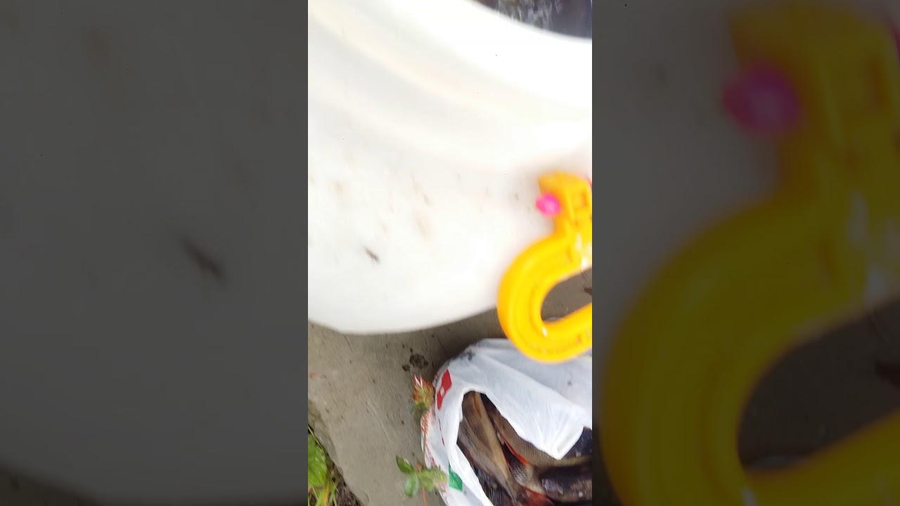 Рыбалка в Когалыме - YouTube