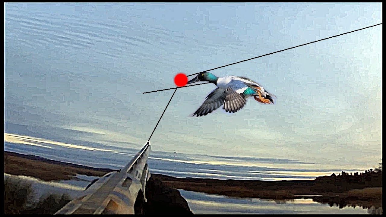 ОХОТА НА УТКУ. ЛУЧШИЙ ГОД ЛУЧШИЕ ВЫСТРЕЛЫ ПО УТКЕ!