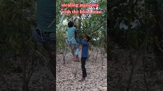 stealing mangoes with the blind man #funny #comedy #fun #viral #viralvideo #youtubeshorts