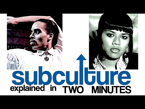 SUBCULTURE explained in