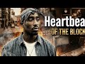 Heartbeat of the Block || Official New Hip-Hop Track || #music #tupac #2pac