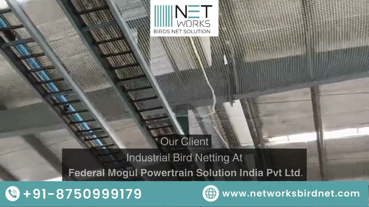 Industrial Bird Netting Service in Gurgaon | Gurugram Bird Net Installation