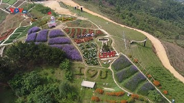 Pha Đin Pass: Vùng cổ tích nơi núi rừng Tây Bắc