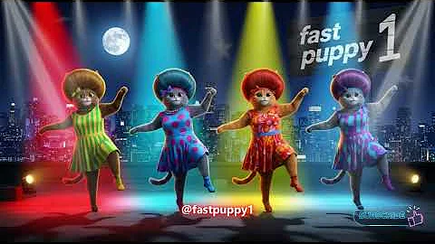 Video 11841601: compilation funny kitten, cute cat dance, cat playing