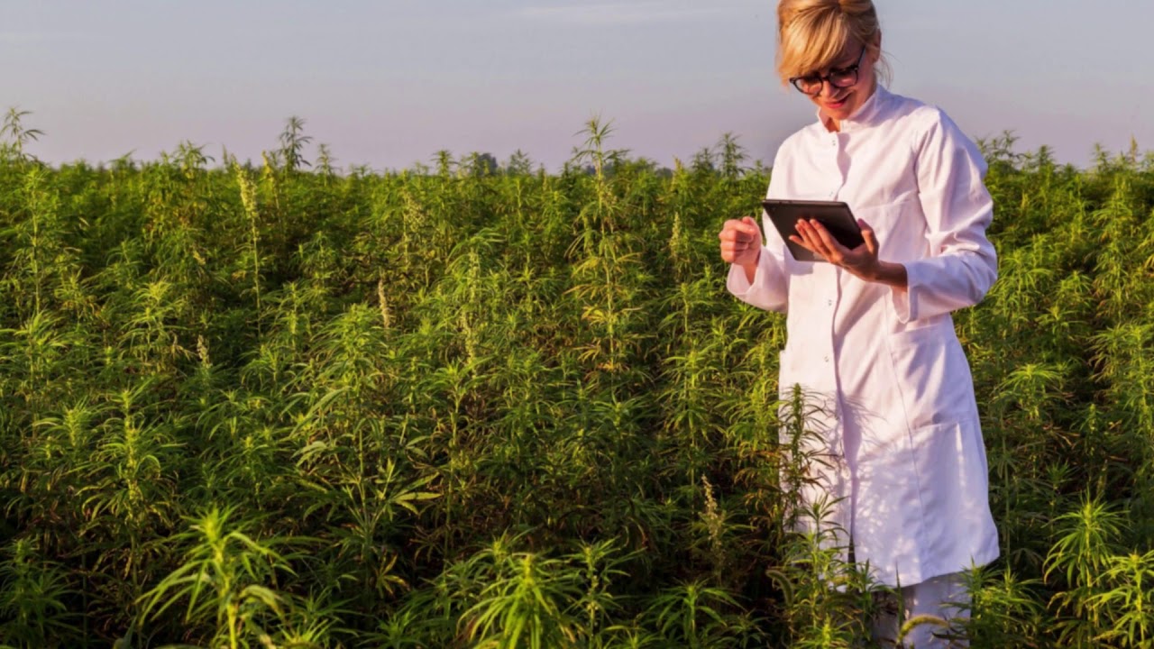 Are you ready for something new? Australia-New Zealand-PharmaCann Global, we truly care™