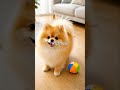 ママ、まだ捨てられないんだね僕のベッド#ワンジュ#ワン寿 #pr