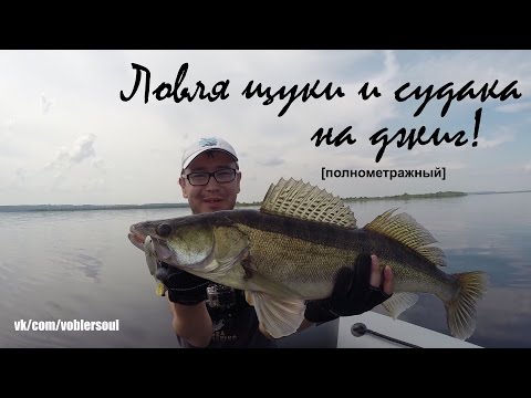 приманки для ловли щуки и судака на спиннинг