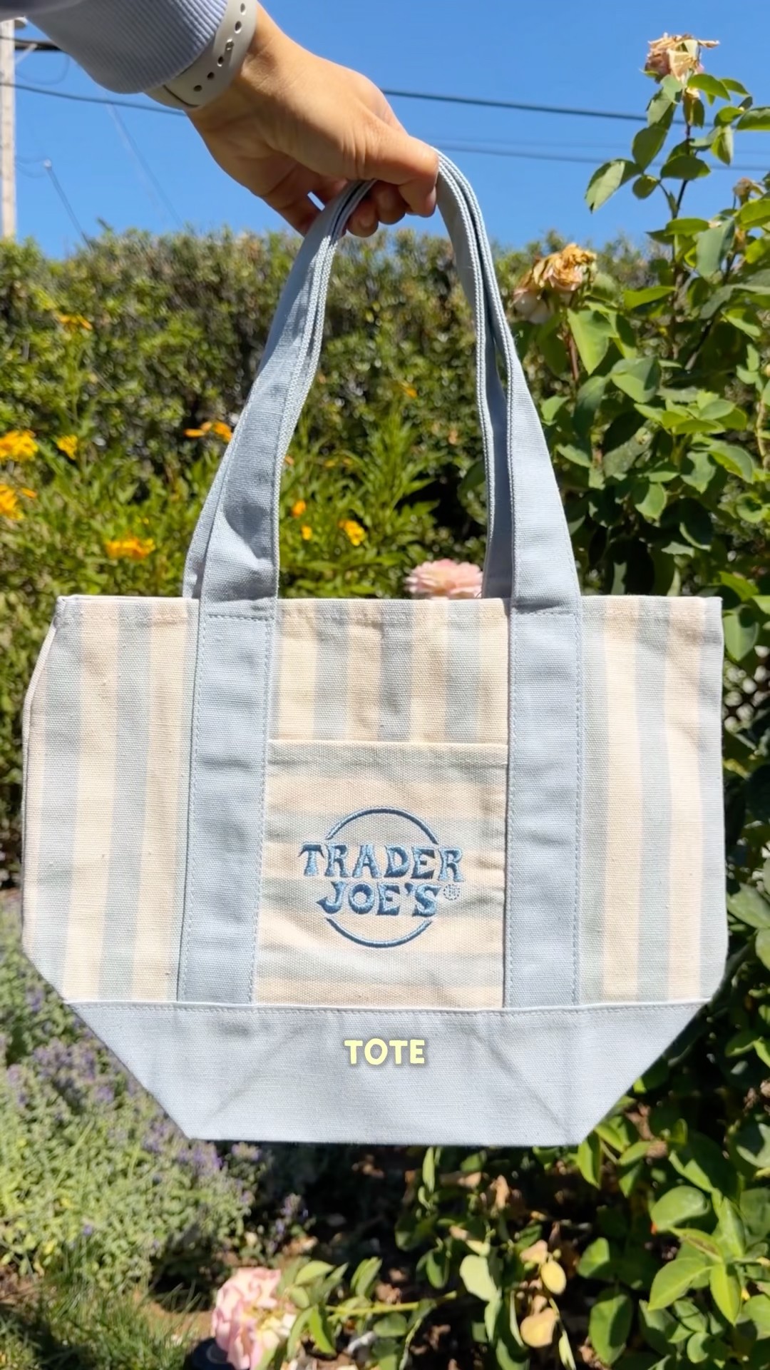 TRADER JOE'S STRIPED MINI CANVAS TOTE BAGS ✨ #traderjoes