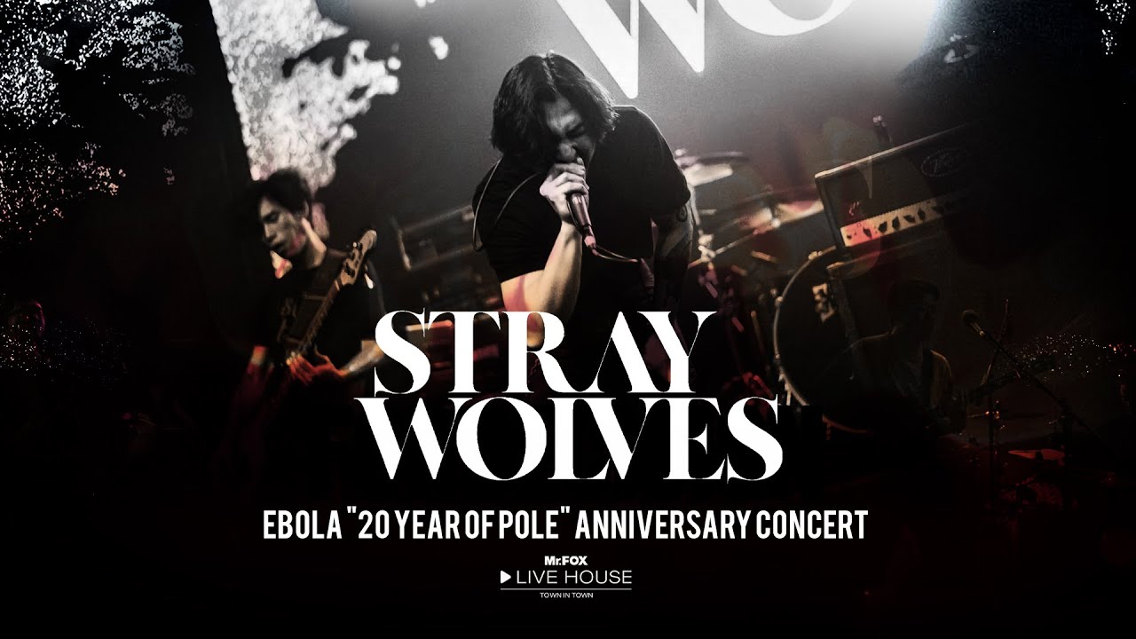 STRAY WOLVES - 