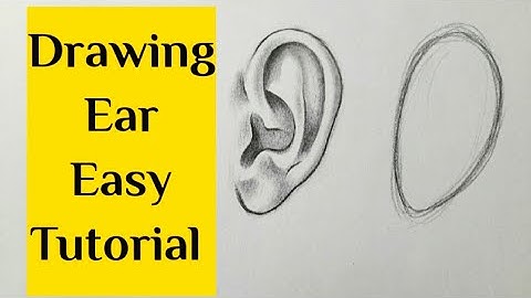 How to draw ear easy step by step Ear drawing for beginners tutorial Basic drawing for beginners