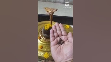 माइग्रेन है सिर दुखता ही रहता है तो करें यह उपाय  #प्रदीप मिश्राजी उपाय#shorts#viral#shiv#savi