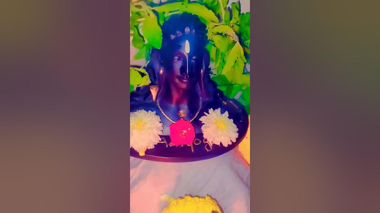 Karthika Pournami 🙏🙏26 November 2023 shiva karthikamasam pooja 
