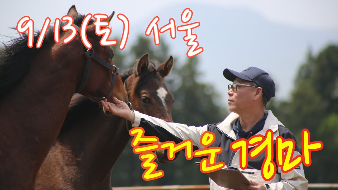 김호경마 9월 13일 토요일 서울경마방송!