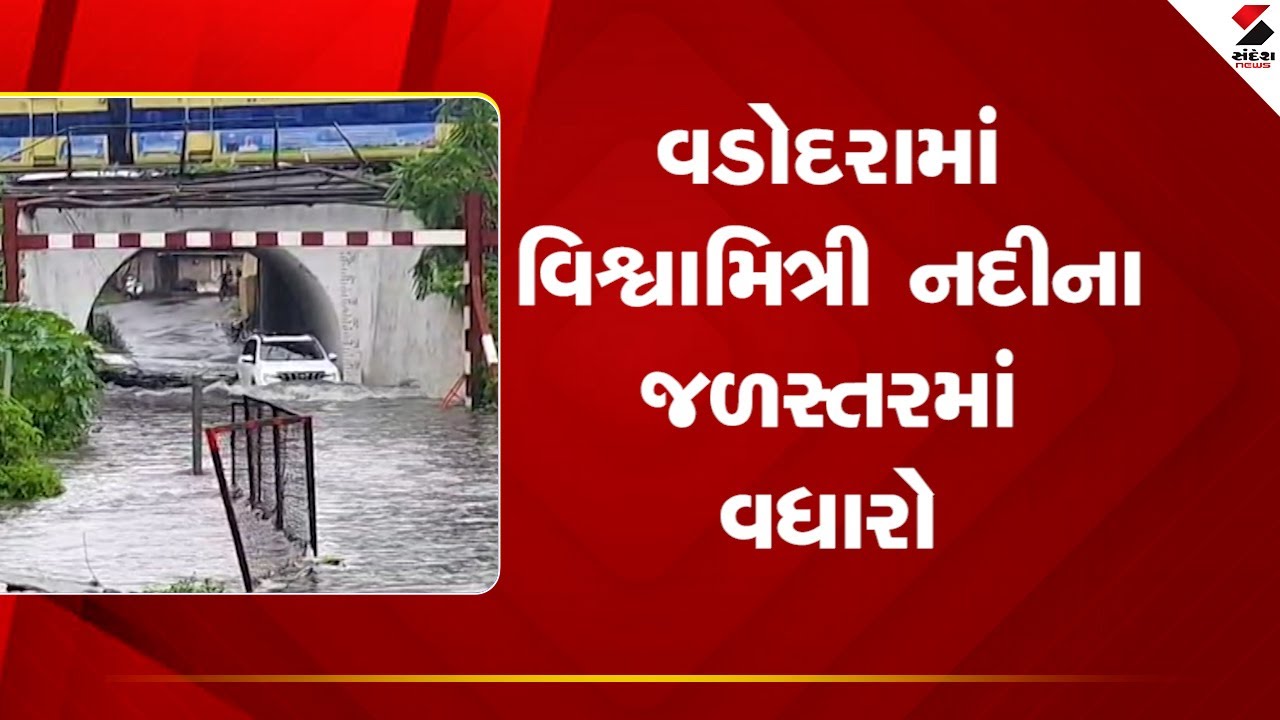 Vadodara | વડોદરામાં વિશ્વામિત્રી નદીના જળસ્તરમાં વધારો  | Vishwamitri River |Gujarat