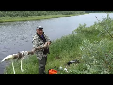 Видео: С этой СНАСТЬЮ ты всегда будешь С УЛОВОМ / Дедовский способ ловли рыбы / Как поймать много рыбы