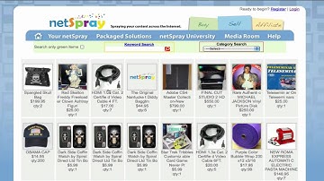 [Wordpress] How to place a netSpray.com widget in a Wordpress Blog to make more money