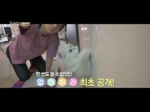 카라(KARA) 하라(<strong>HARA</strong>) 온앤오프(ON&amp;amp;OFF) &amp;quot;엄마하라&amp;quot; TEASER