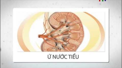 Phòng và điều trị giãn bể thận