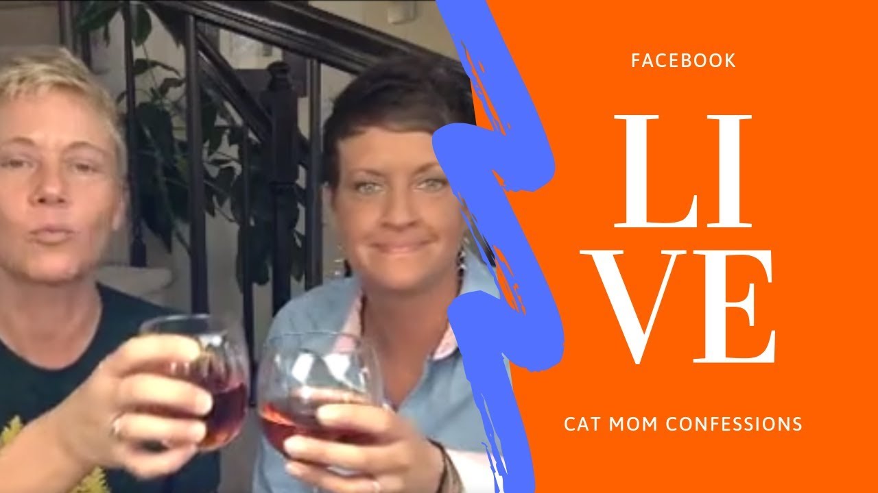 feline leukemia vaccine side effects A Little Diddy About A Kitty | Two Crazy Cat Ladies