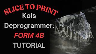 Slice to Print Kois Deprogrammer:Form 4B Tutorial