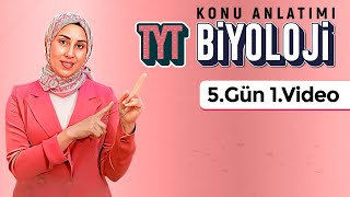 Enzimler - Ii - 5.Gün - 1.Video 32 Günde Tyt Biyoloji Kampı Kuvvetli Biyoloji