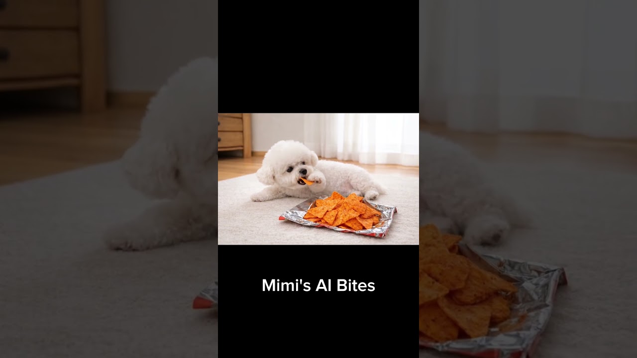 Tortilla Chips ASMR 🌽🐶 Cute Dog Mimi Eating! パリパリ音が神🤍