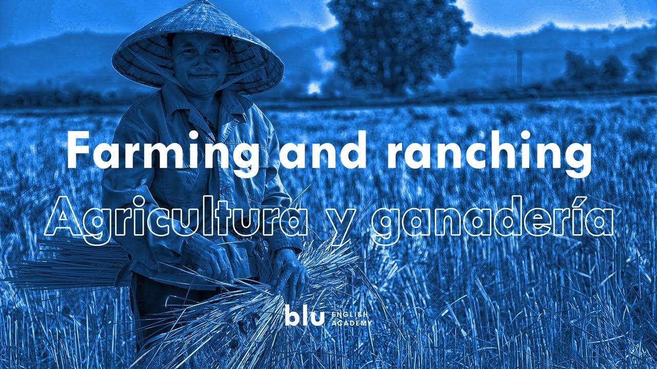 Agricultura y ganadería Vocabulario en inglés YouTube