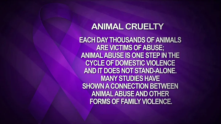 Domestic Violence  Animal Cruelty